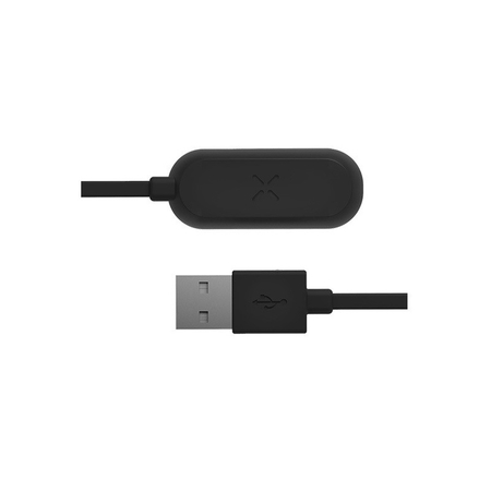 PAX 2 - Mini USB Ladegert