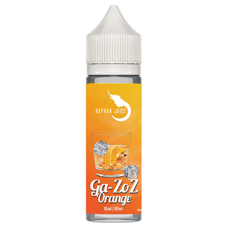 Hayvan Juice - Ga-Zoz Orange Aroma - 10ml