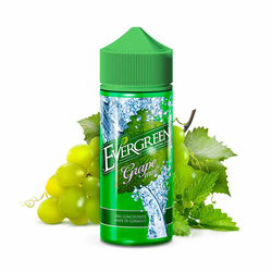 Evergreen - Grape Mint
