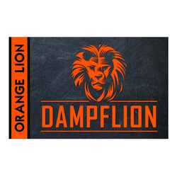 Dampflion Aroma - orange Lion - 20ml