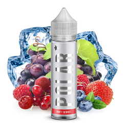 (EX) POLAR - Minty Berries Aroma 20ml